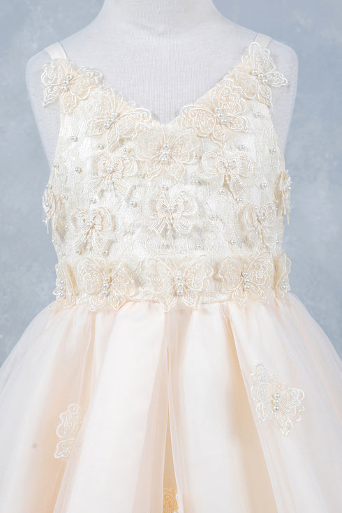 Butterfly Princess Dress for Girls 2-12